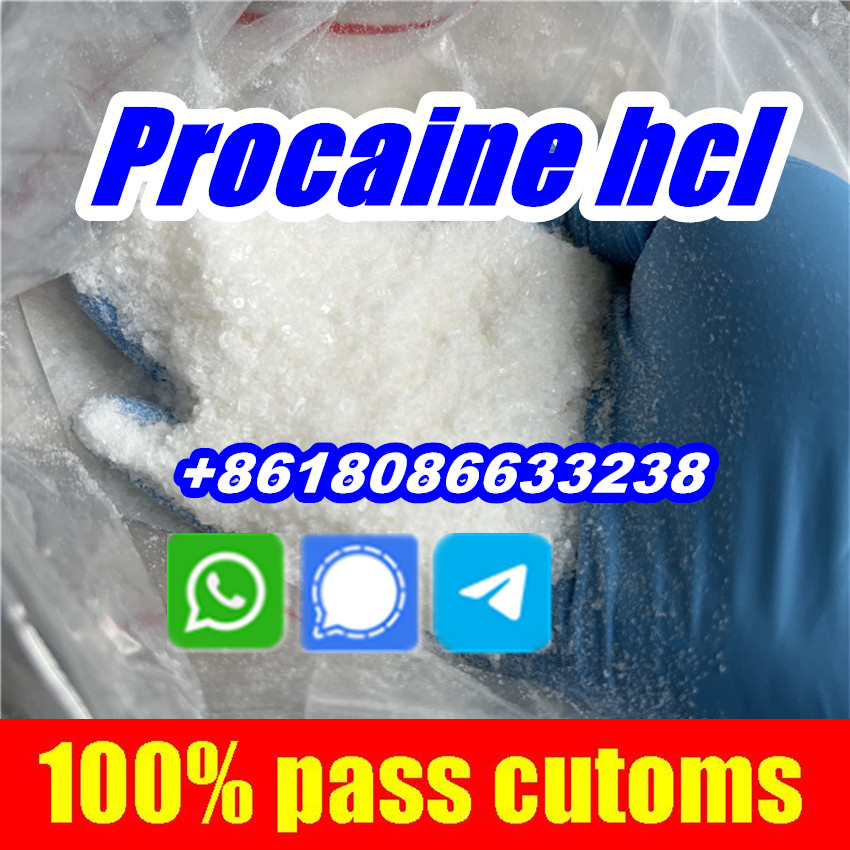 Procaine hydrochloride hcl Procaina