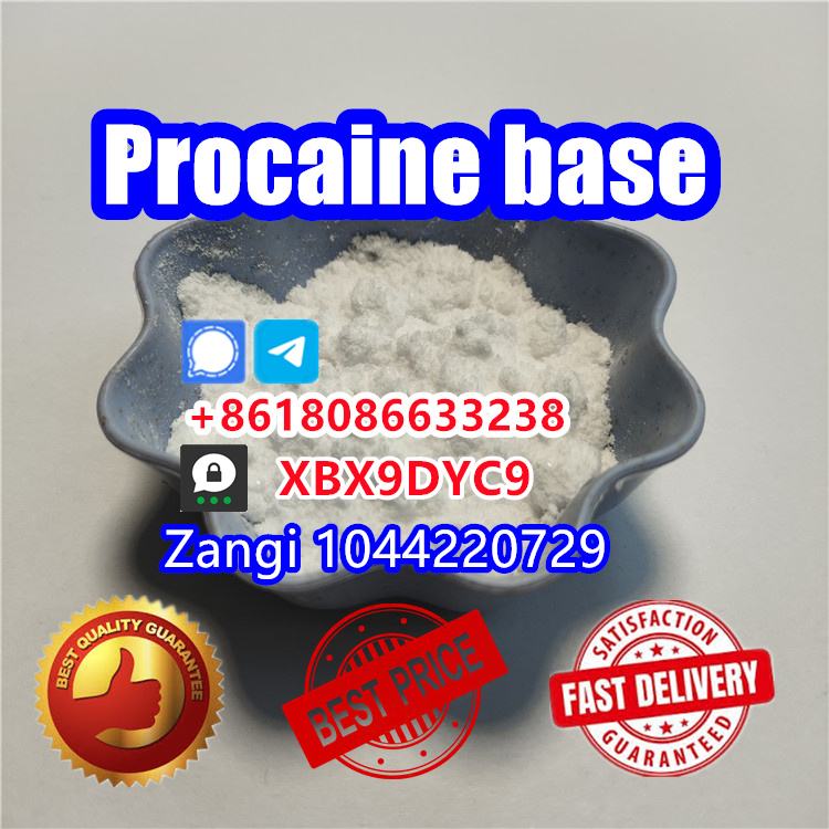 Procaine base powder Procain CAS 59-46-1