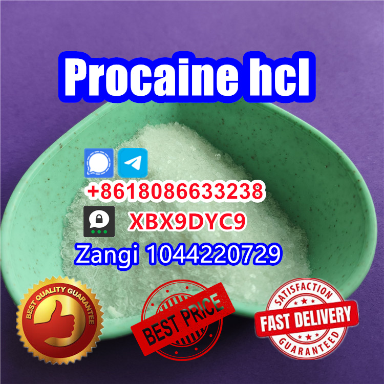 Procaine hcl 51-05-8 factory wholesale Procaine powder