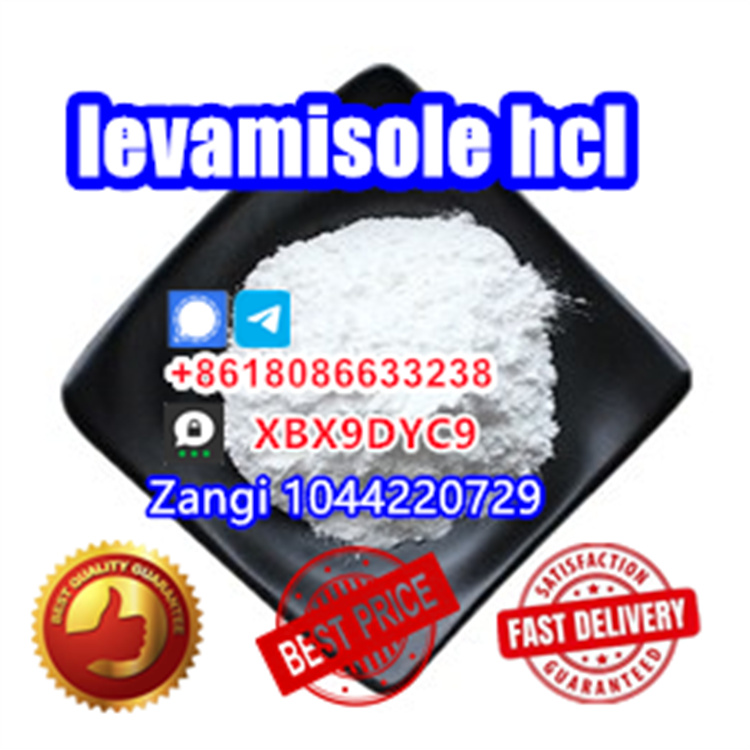 Levamisole HCl buy Levamisol raw powder