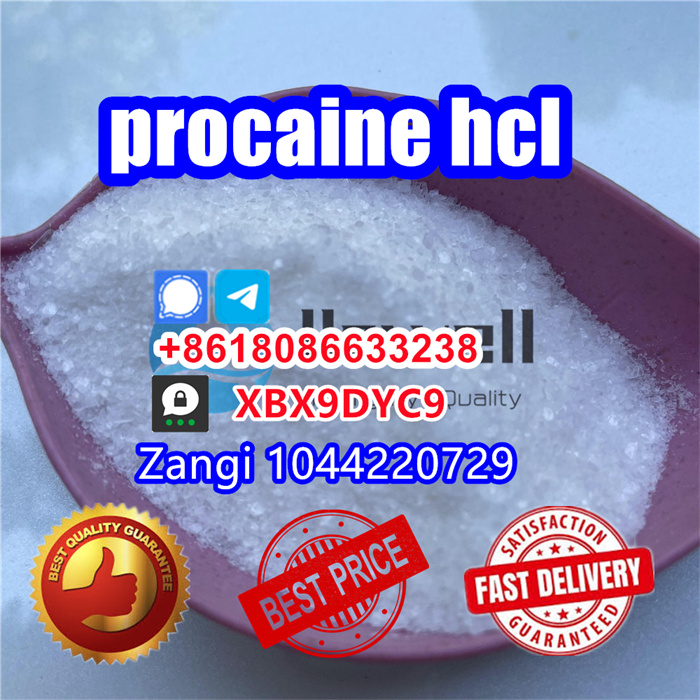 Procaine Hydrochloride,buy Procaine hcl Procain